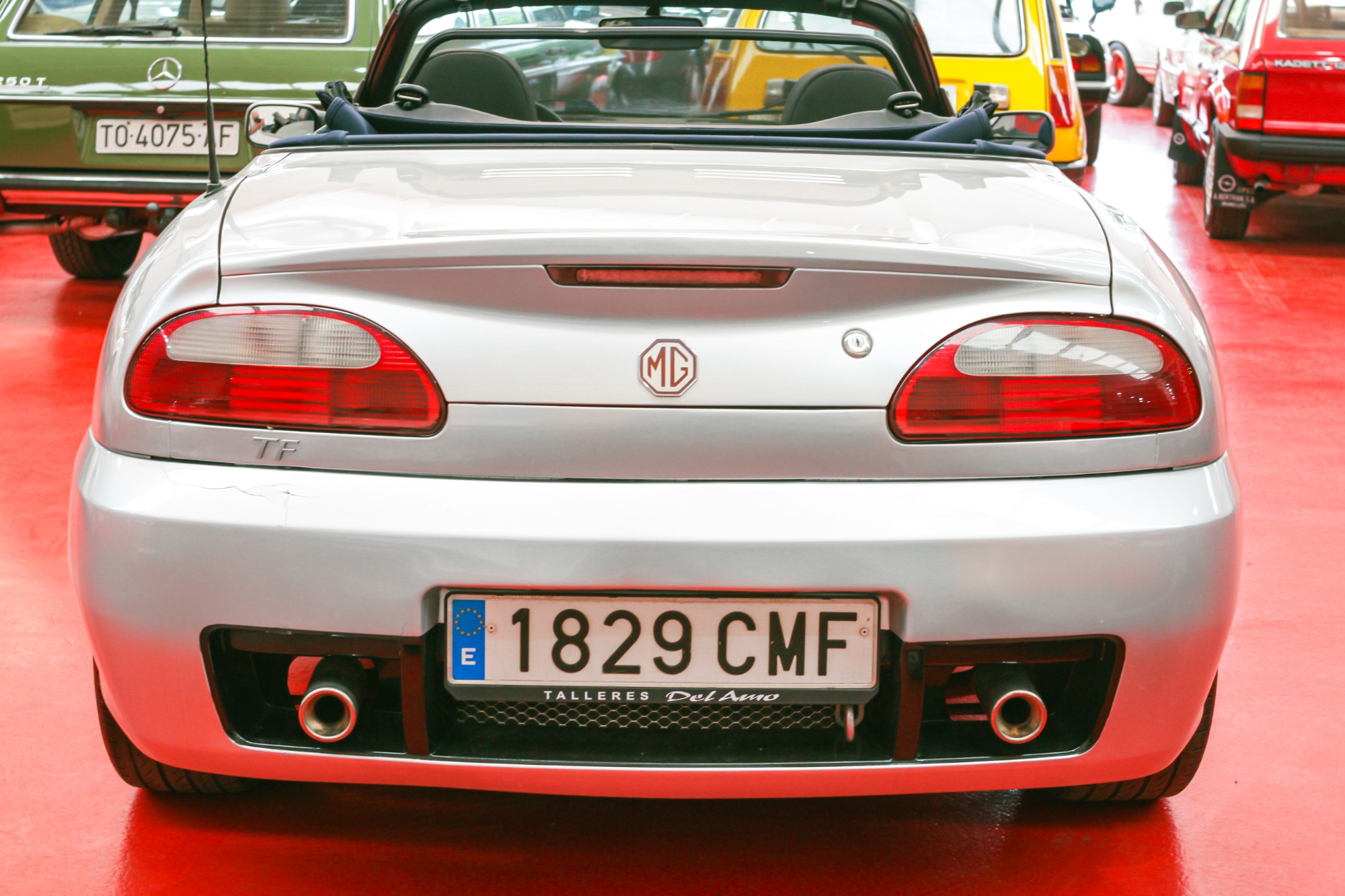 Mg Tf