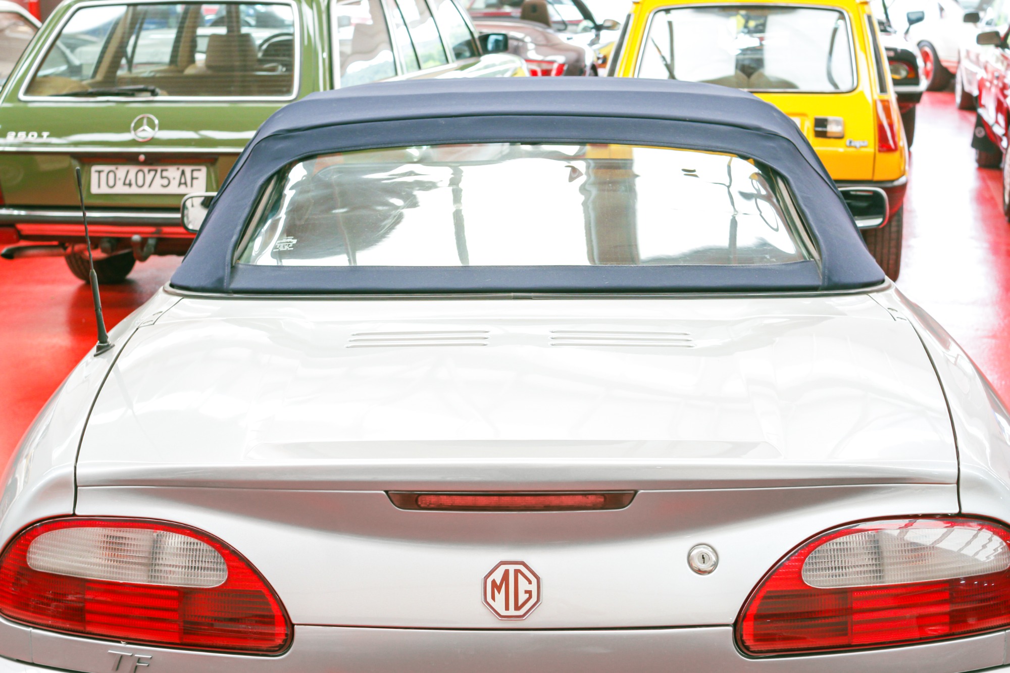 Mg Tf