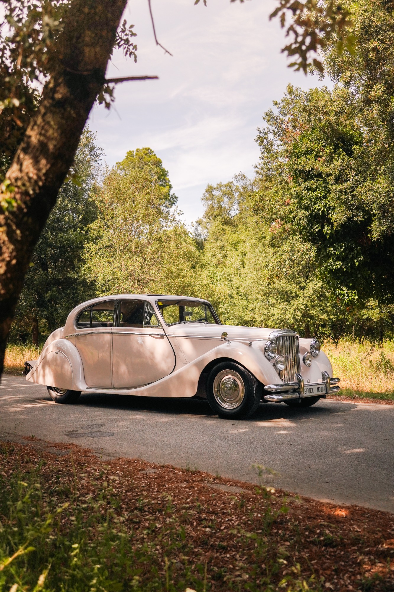 JAGUAR MK V 1949 ALL RESTAURED