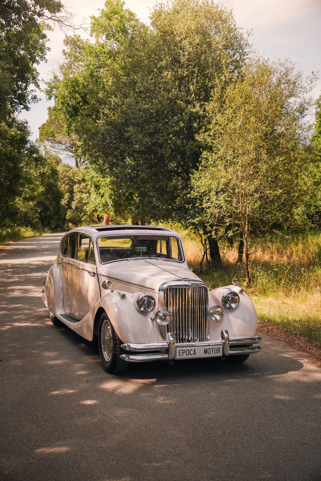 JAGUAR MK V 1949 ALL RESTAURED