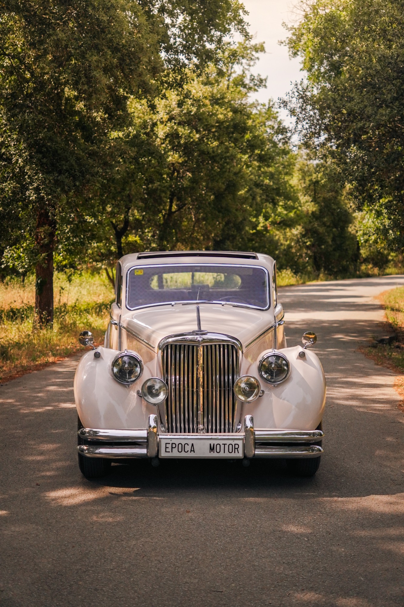 JAGUAR MK V 1949 ALL RESTAURED