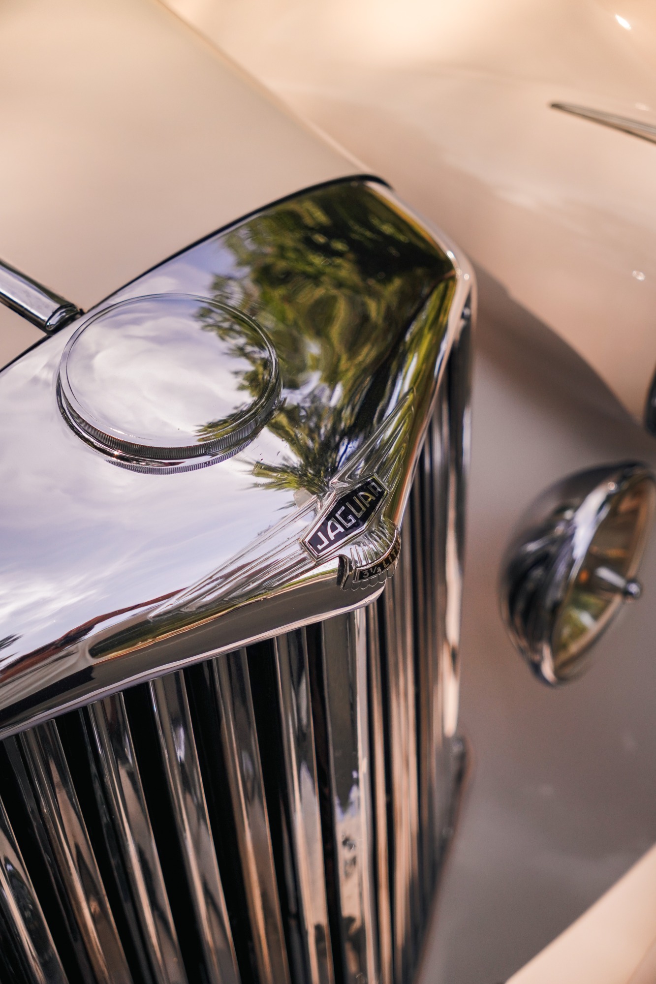 JAGUAR MK V 1949 ALL RESTAURED