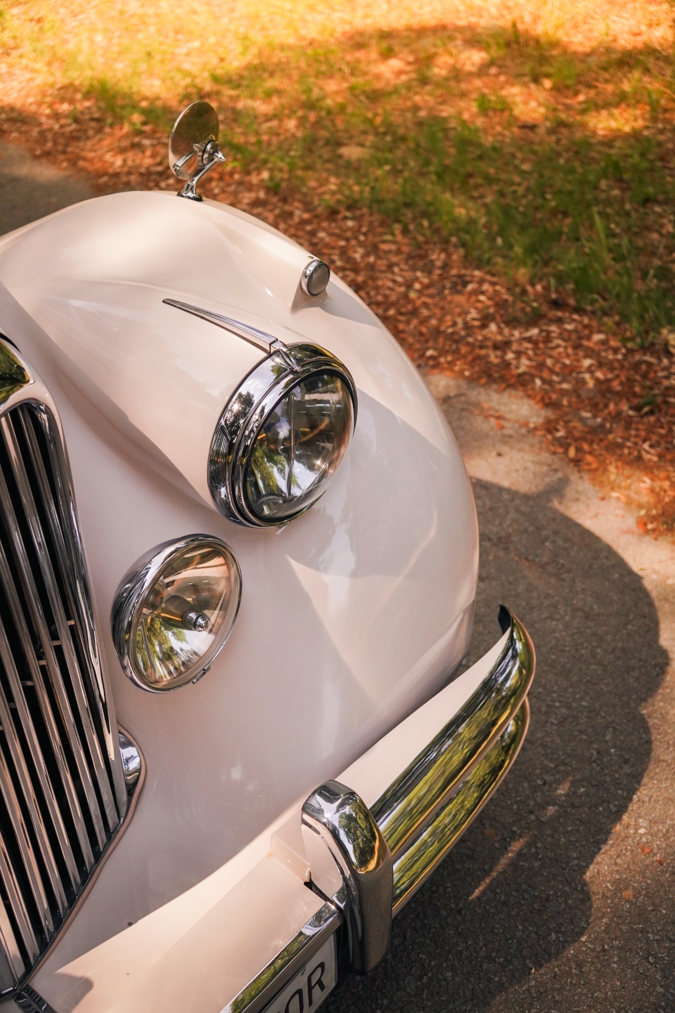 JAGUAR MK V 1949 ALL RESTAURED