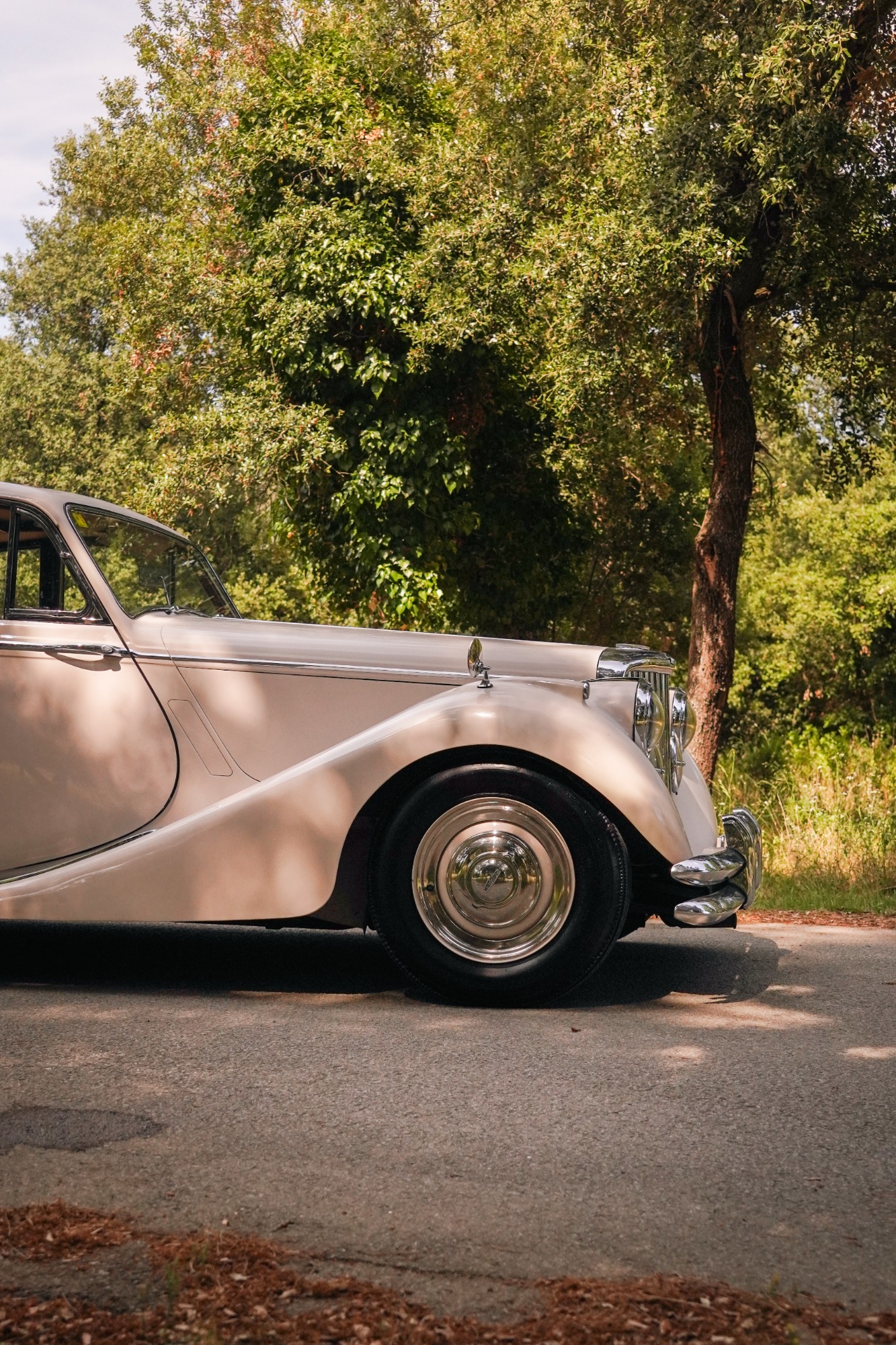 JAGUAR MK V 1949 ALL RESTAURED