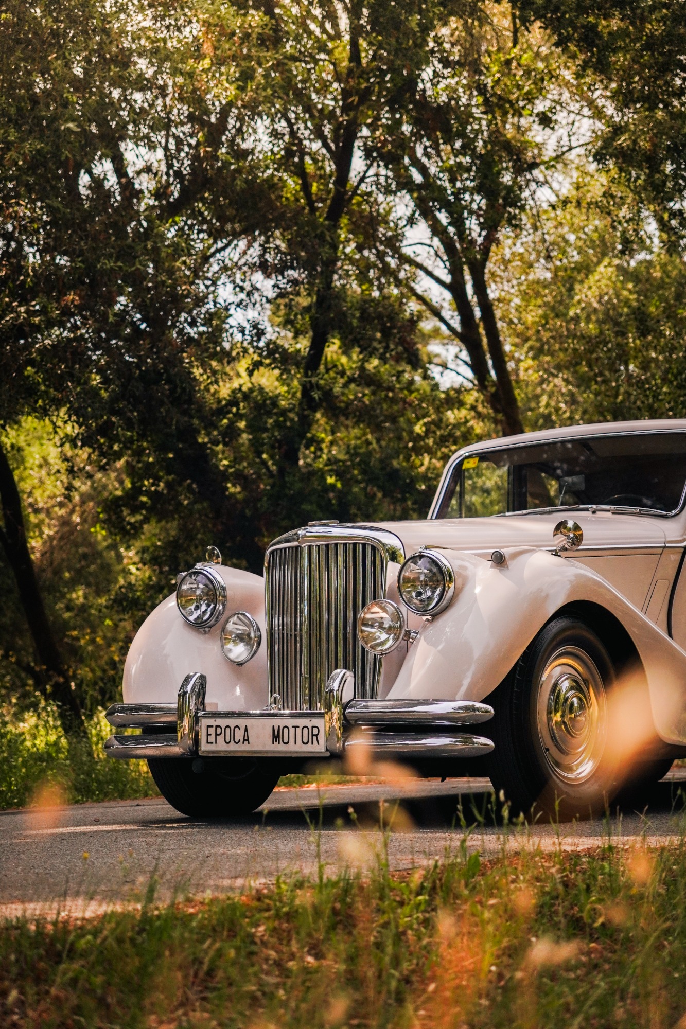 JAGUAR MK V 1949 ALL RESTAURED