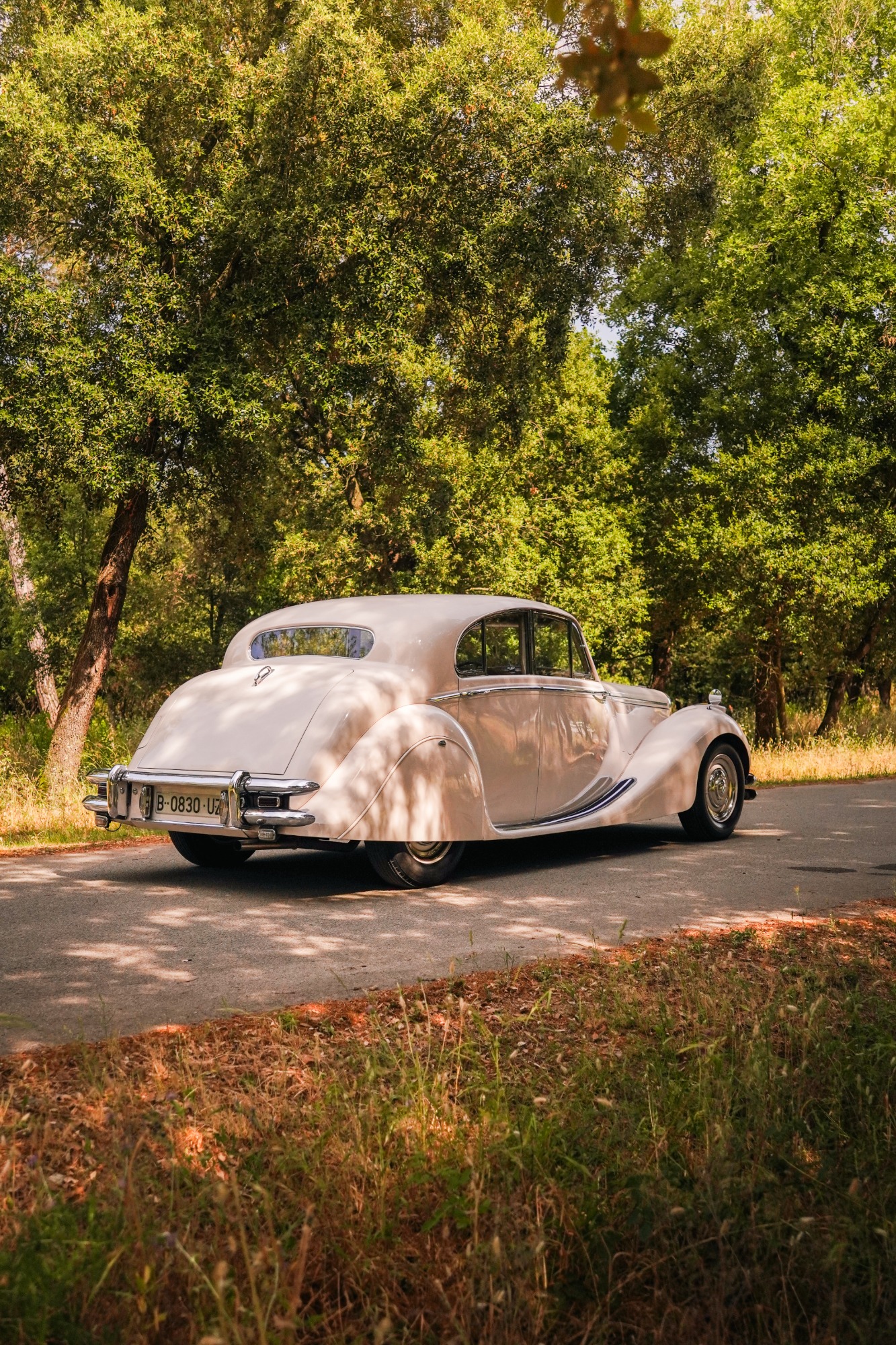 JAGUAR MK V 1949 ALL RESTAURED